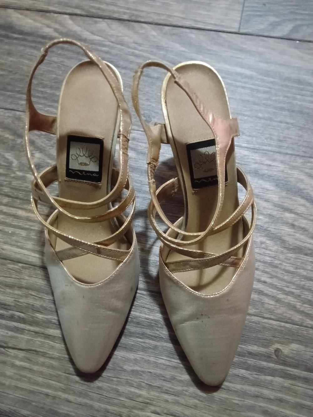 Nina Gold Strappy Pointed Slingback Heels